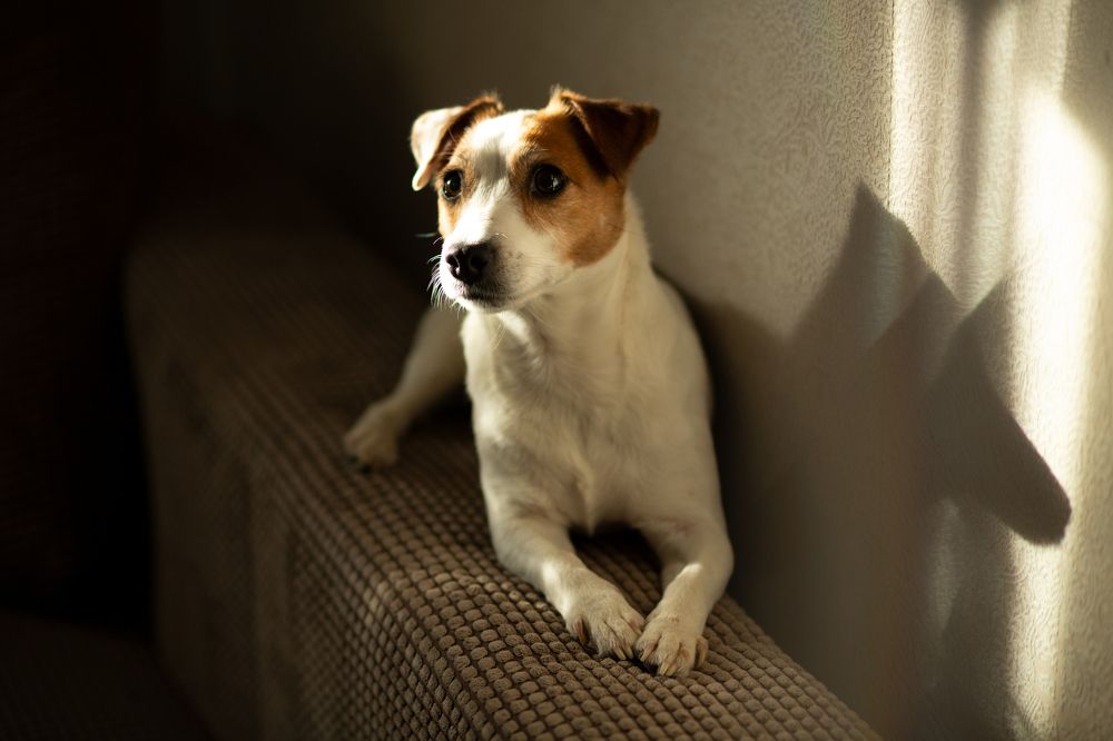 Фотография автора Анна Смирнова