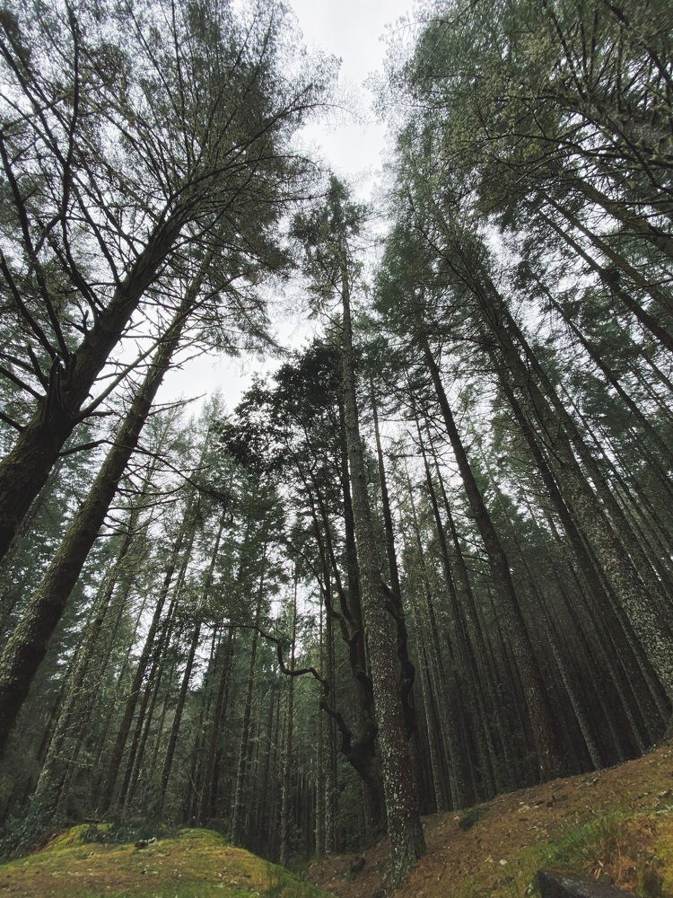 Photograph by Катерина