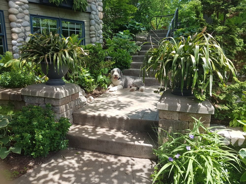 Photograph by Art Bisschop