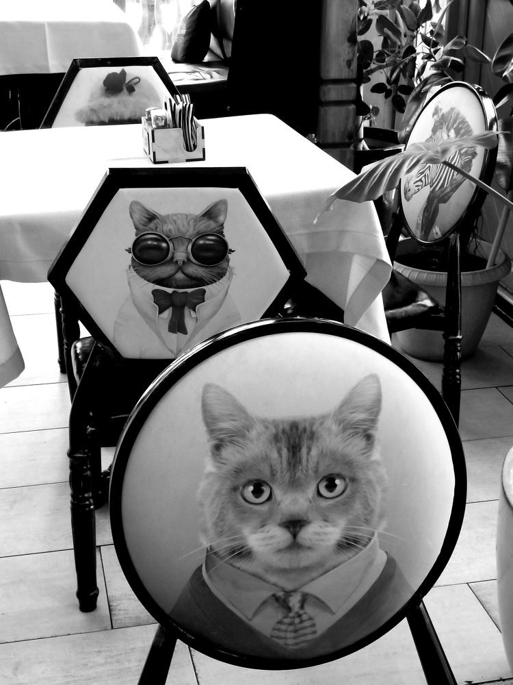 Photograph by Лада Денисова