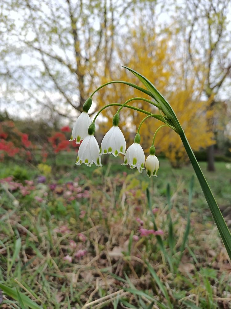 Photograph by Vitalie