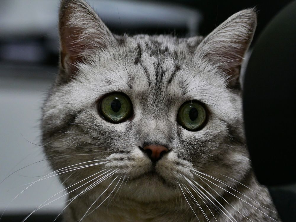 Photograph by Николай Тышкунов