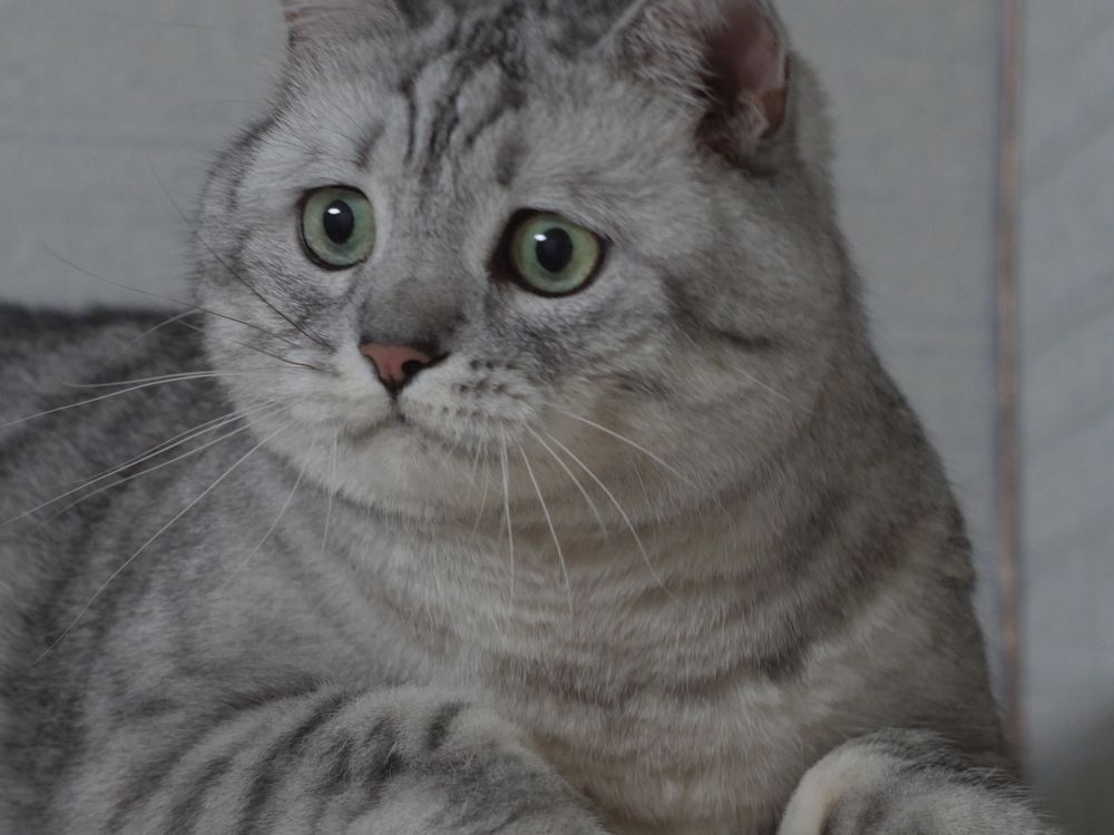 Photograph by Николай Тышкунов