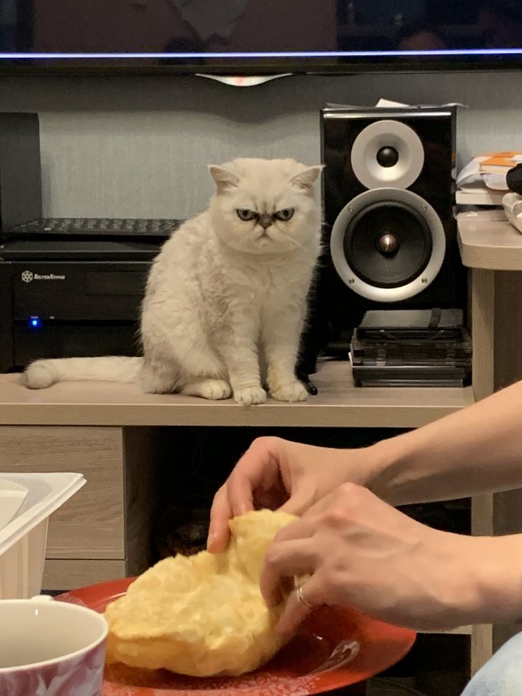 Photograph by Николай Тышкунов