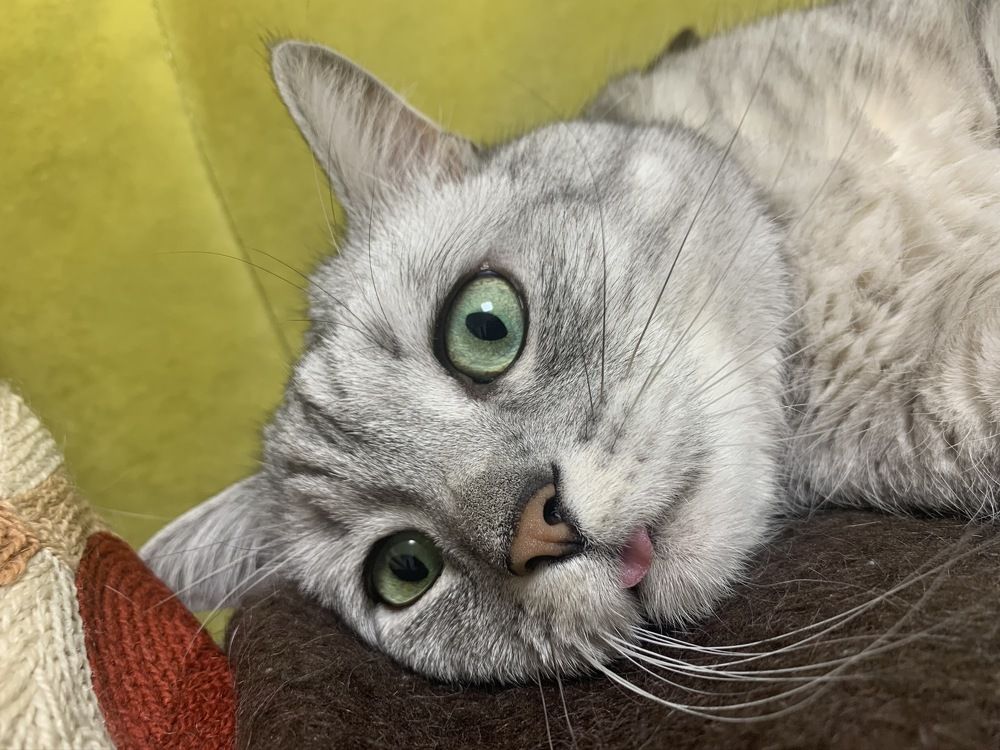 Photograph by Николай Тышкунов