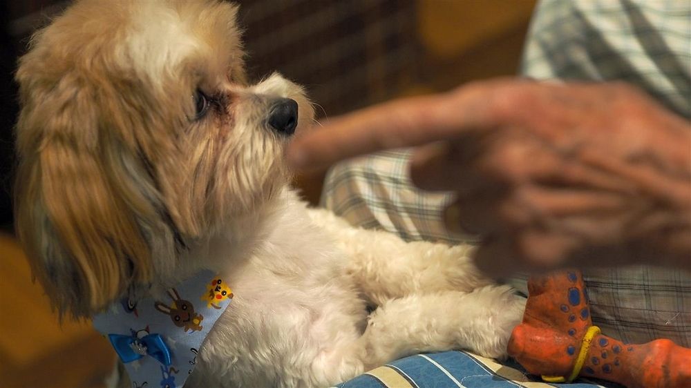 Photograph by Marcelo Luzzi