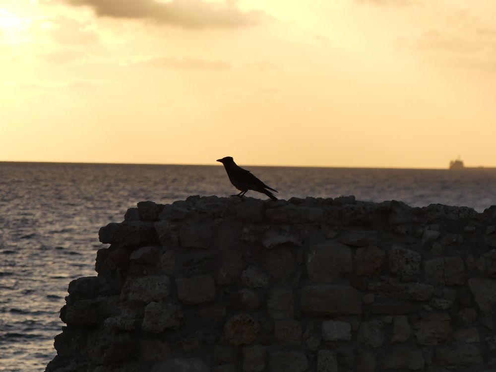 Photograph by Binyamin Waldayes