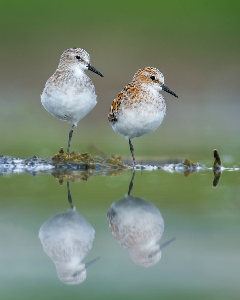 Photograph by Ananth Ramasamy