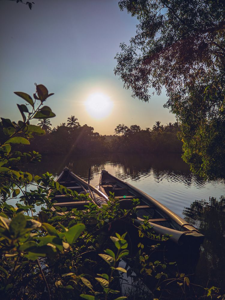 Photograph by Ashiq P F Mohammed