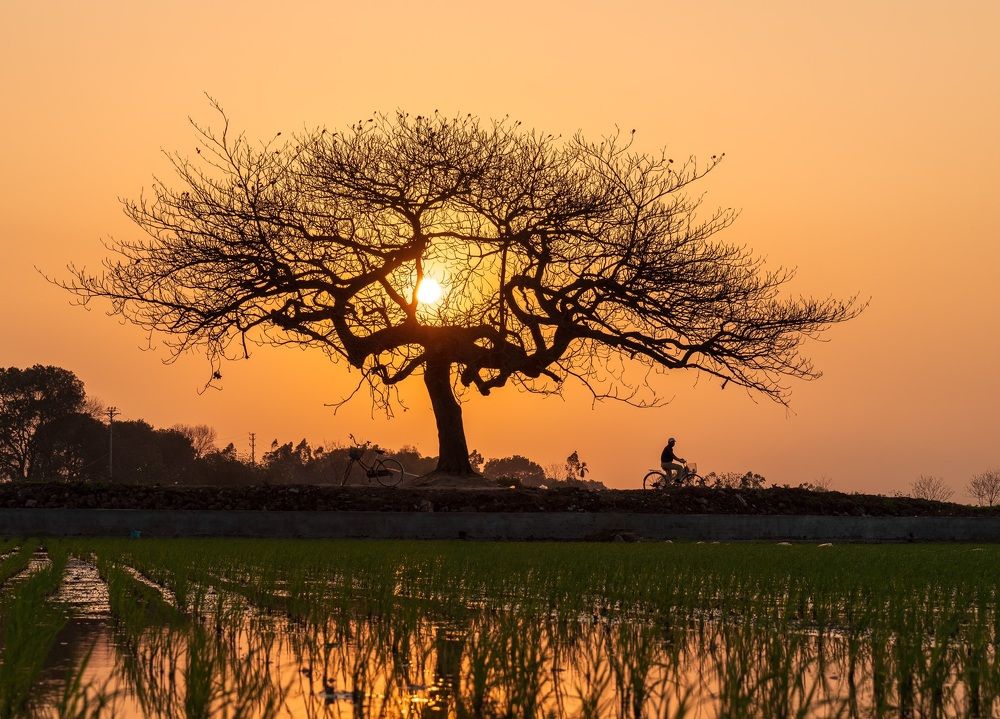 Photograph by Sy Danh