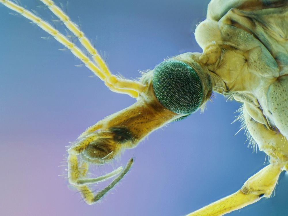 Photograph by Abbas Rayan benhorma