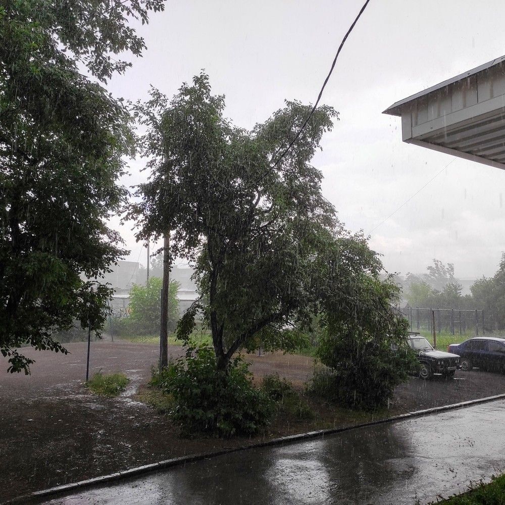 Photograph by Саттарова Ирина