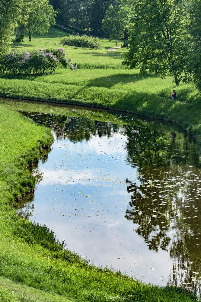 Парк в Павловске