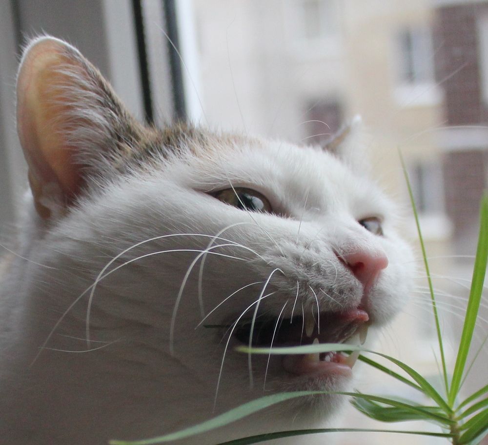 Photograph by Olga Bagaeva