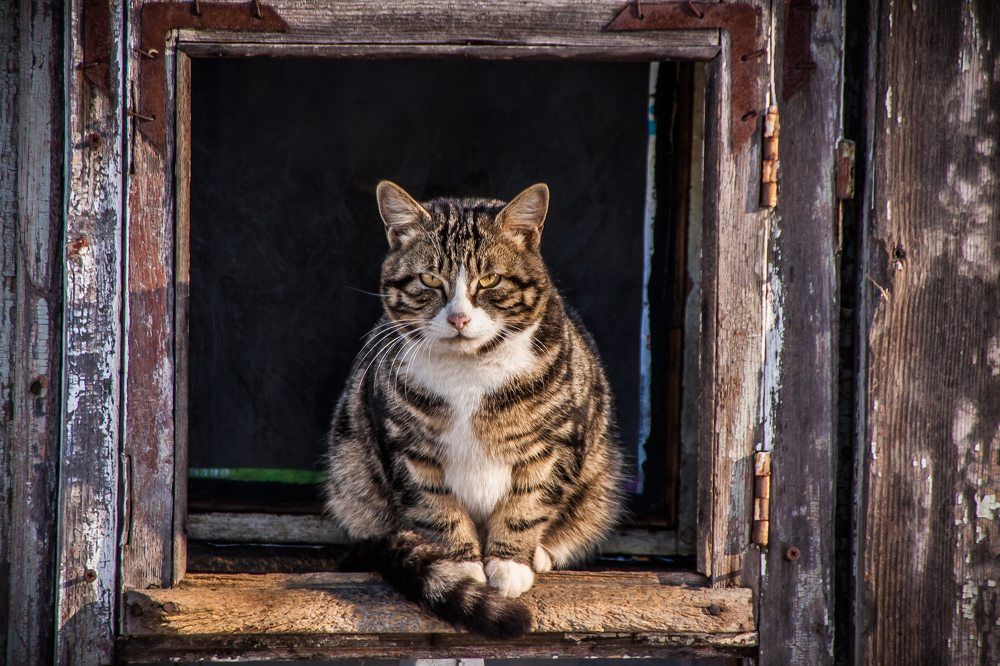 Photograph by Андрей Михайлов