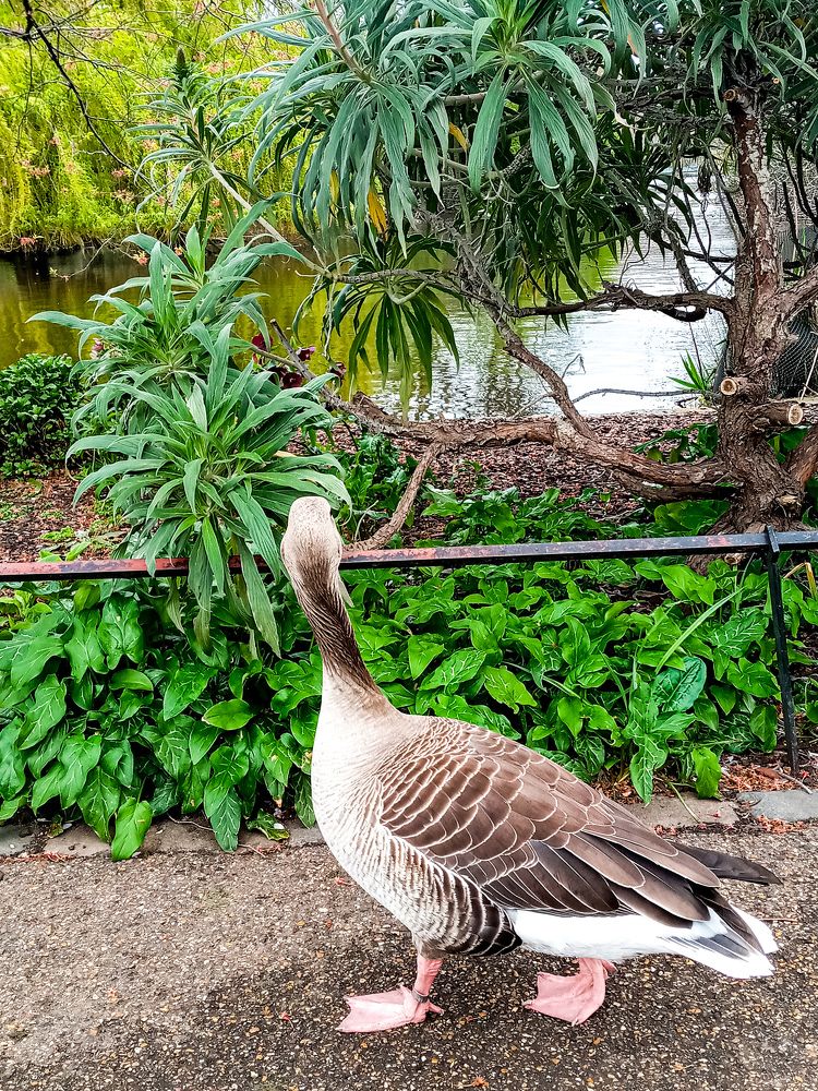 Фотография автора Michael Gault