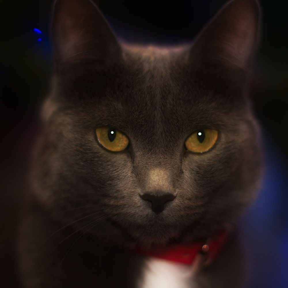 Photograph by Елена Ласун