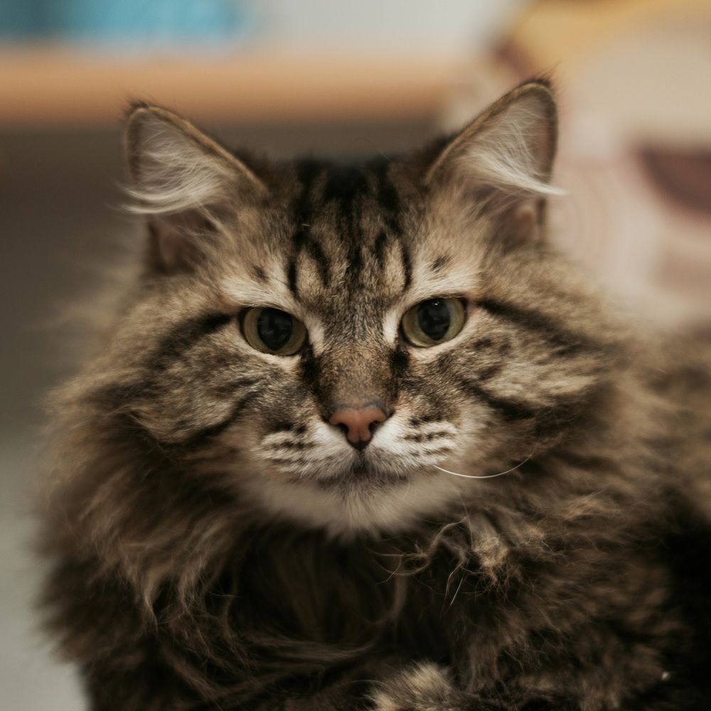 Photograph by Елена Ласун