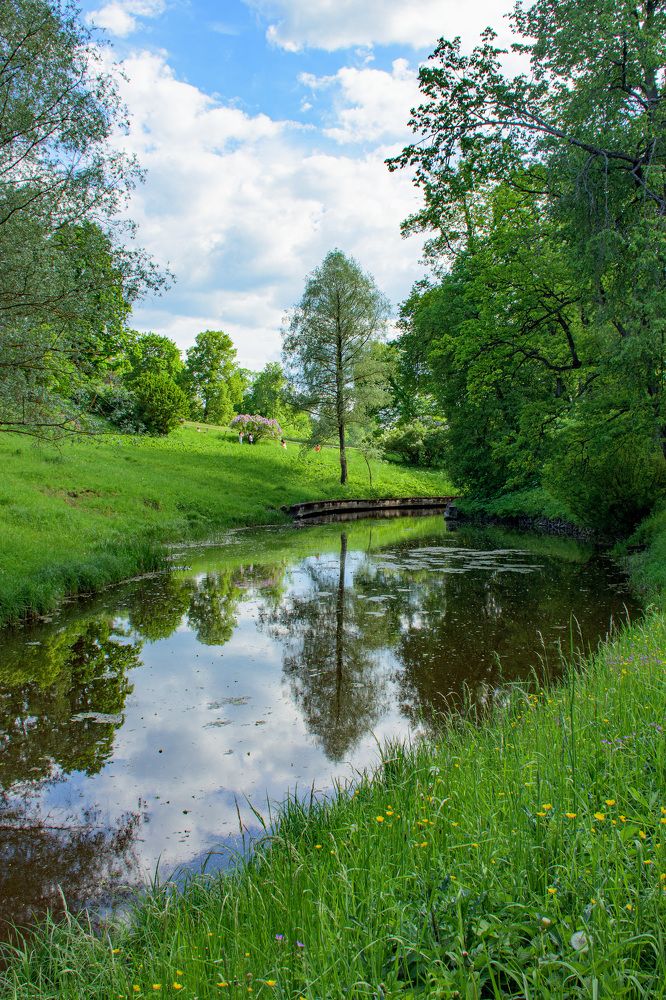 Парк в Павловске