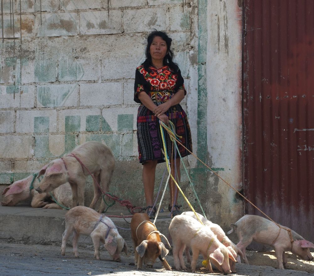 Photograph by Martin Najera