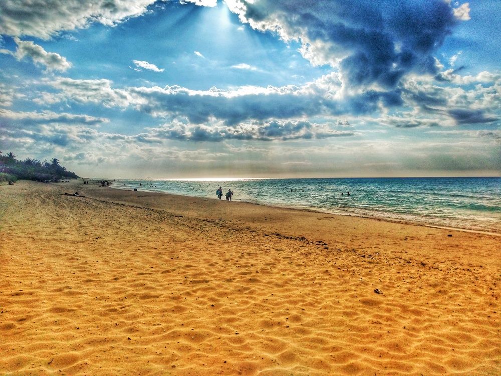 Photo #7496580