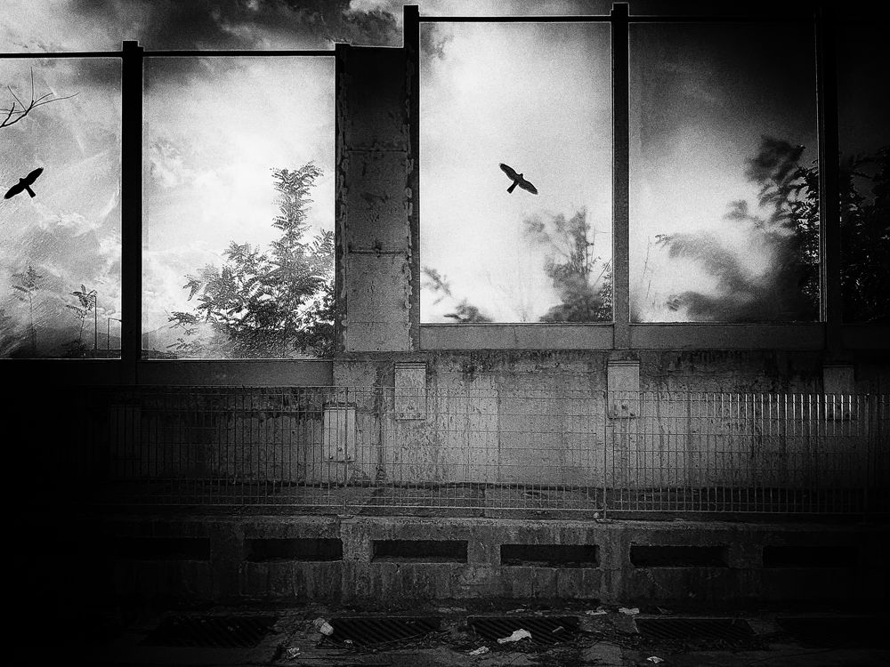 Photograph by Antonis Giakoumakis