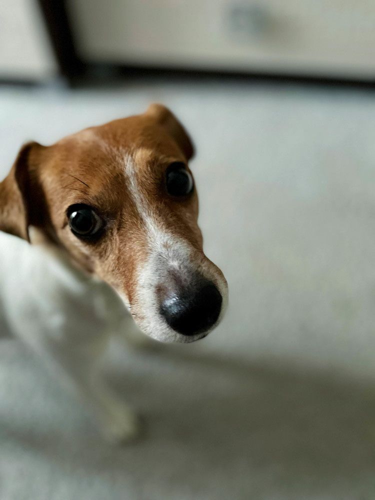 Photograph by Илья Бузаев