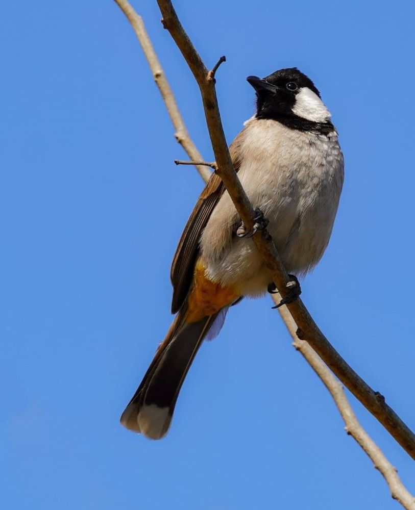 Photograph by Saurabh