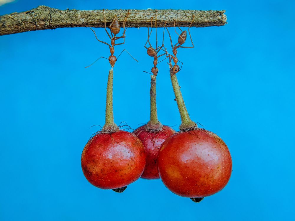 Photograph by Restito Carreon