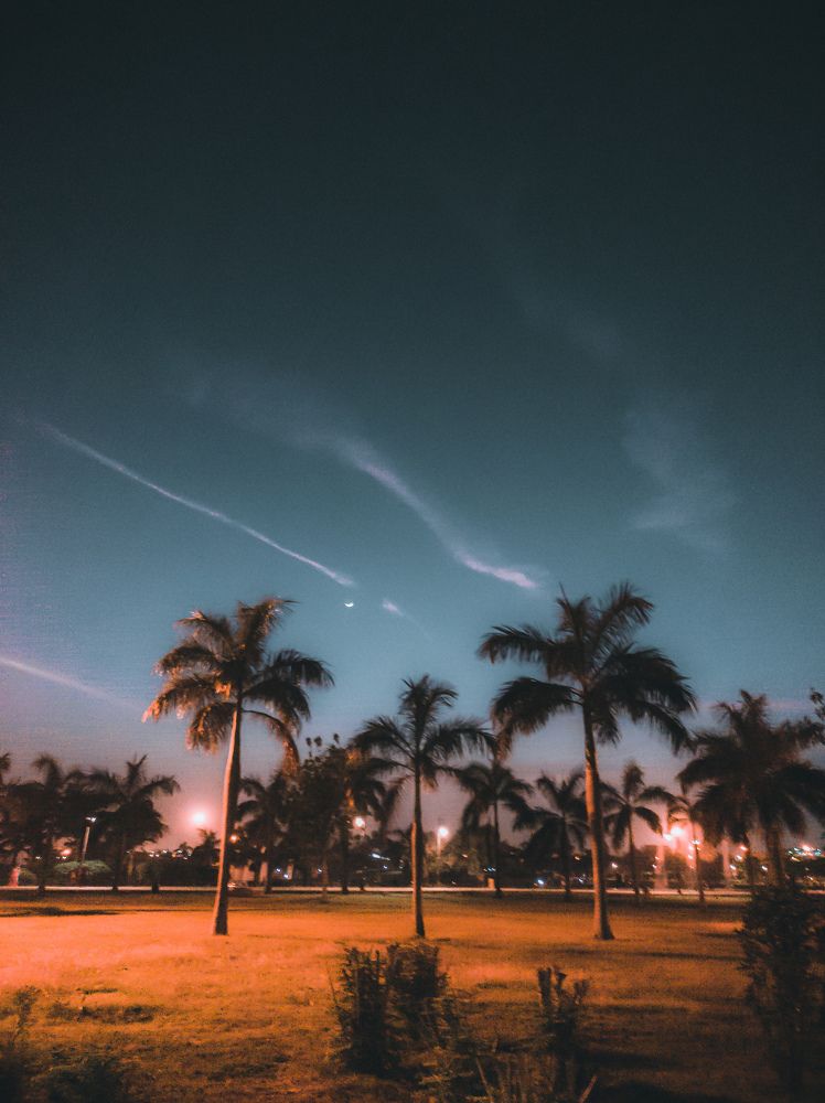 Photograph by Prashant Gautam