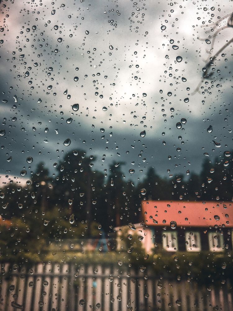 Photograph by Елизавета Большакова