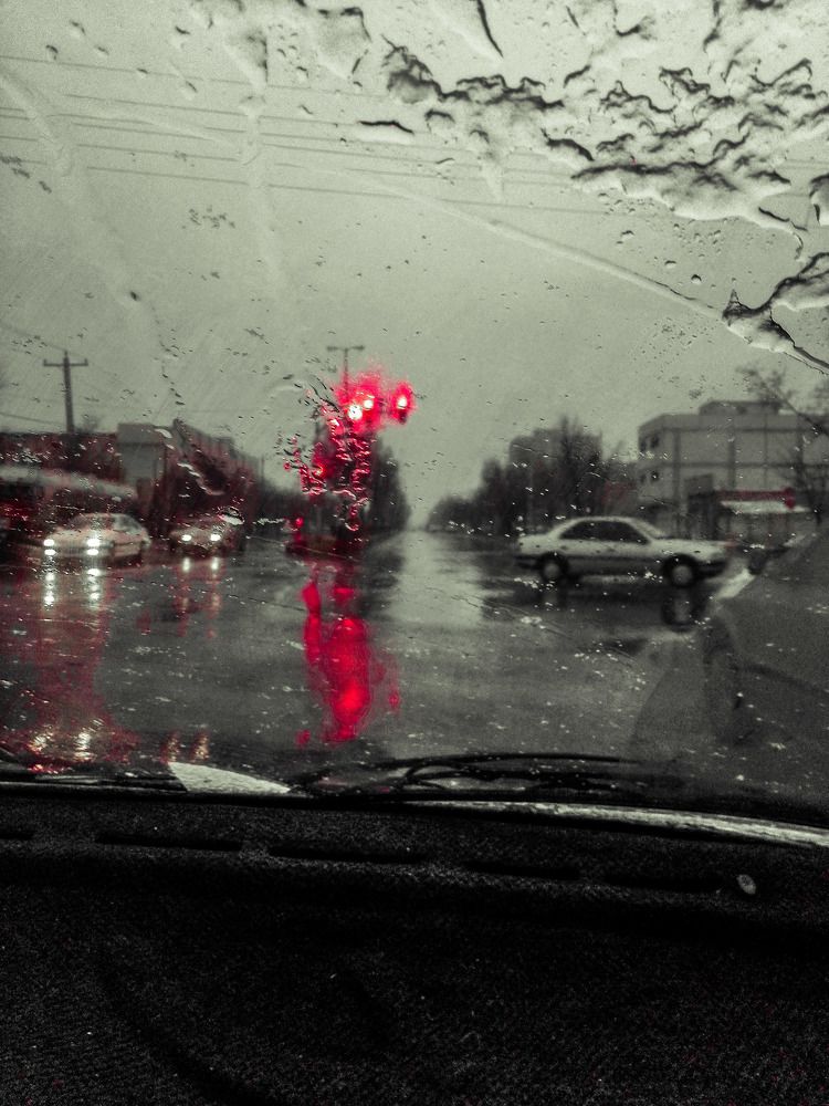 Photograph by محمدرضا کیانی