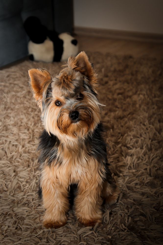 Photograph by Jelena Dzene