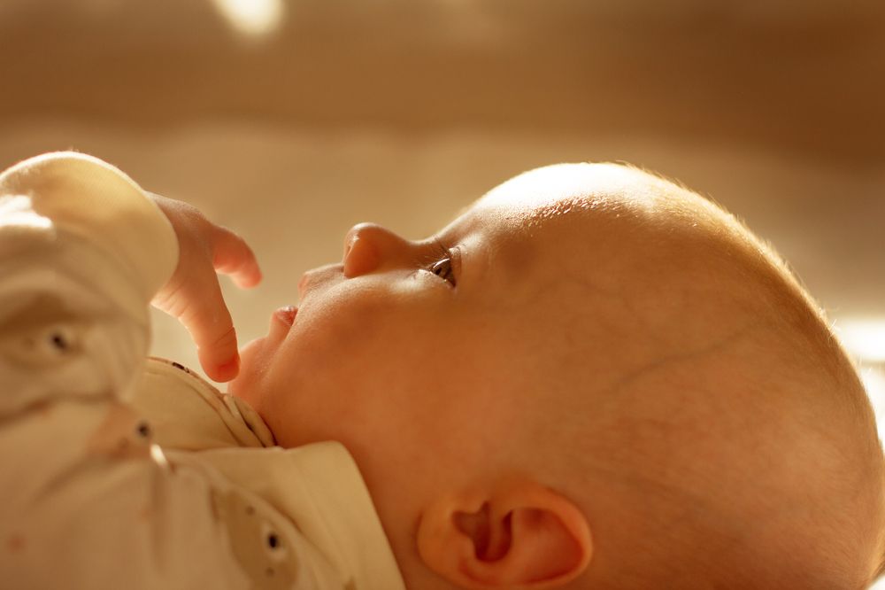 Photograph by Елена Макшеева