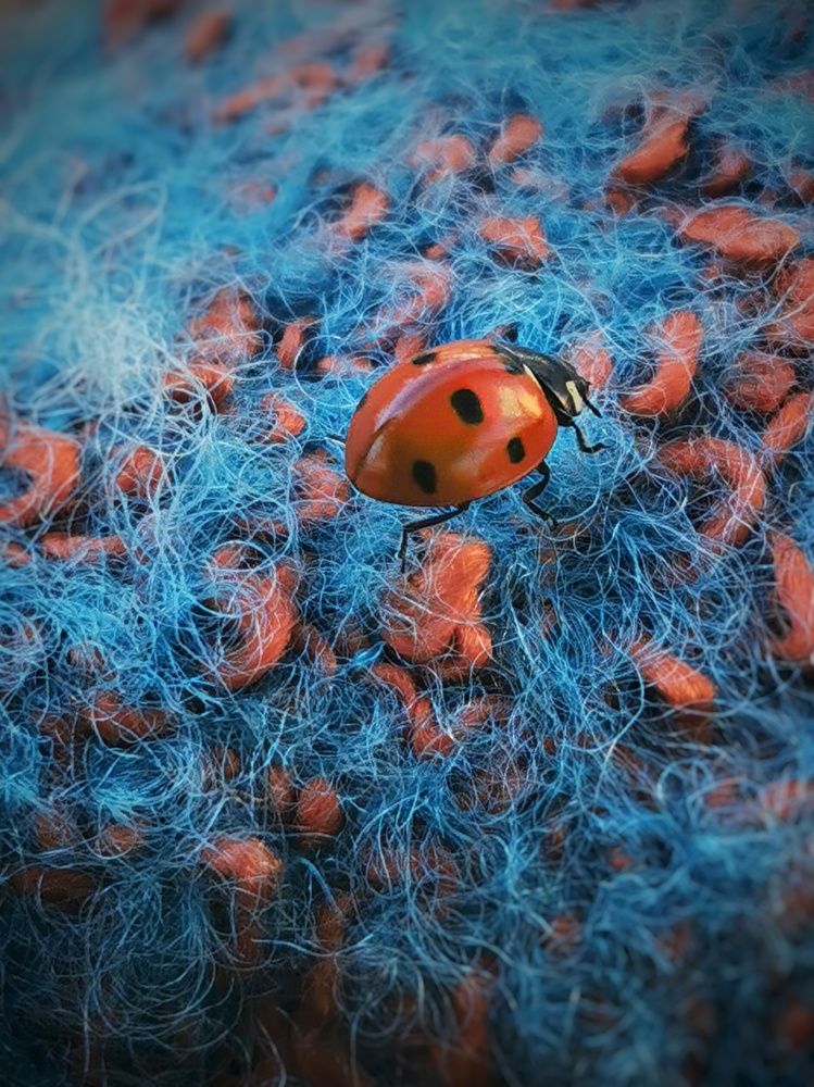 Photograph by Любовь Тарасюк