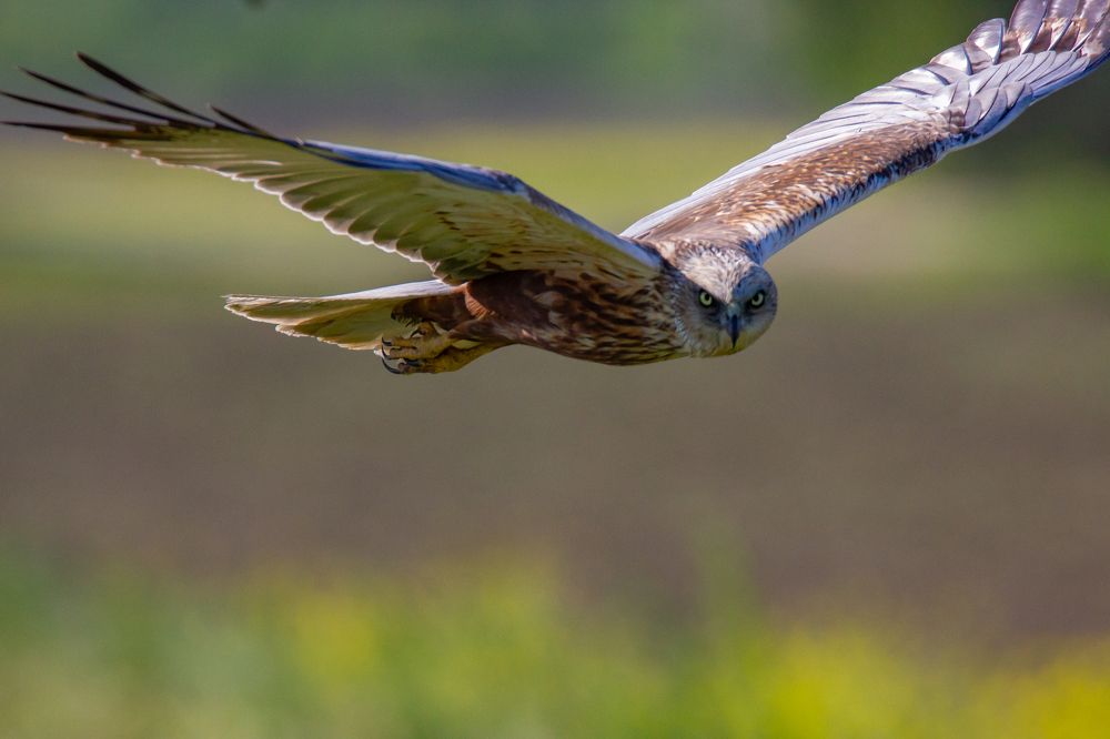 Photograph by Николай Абрамов