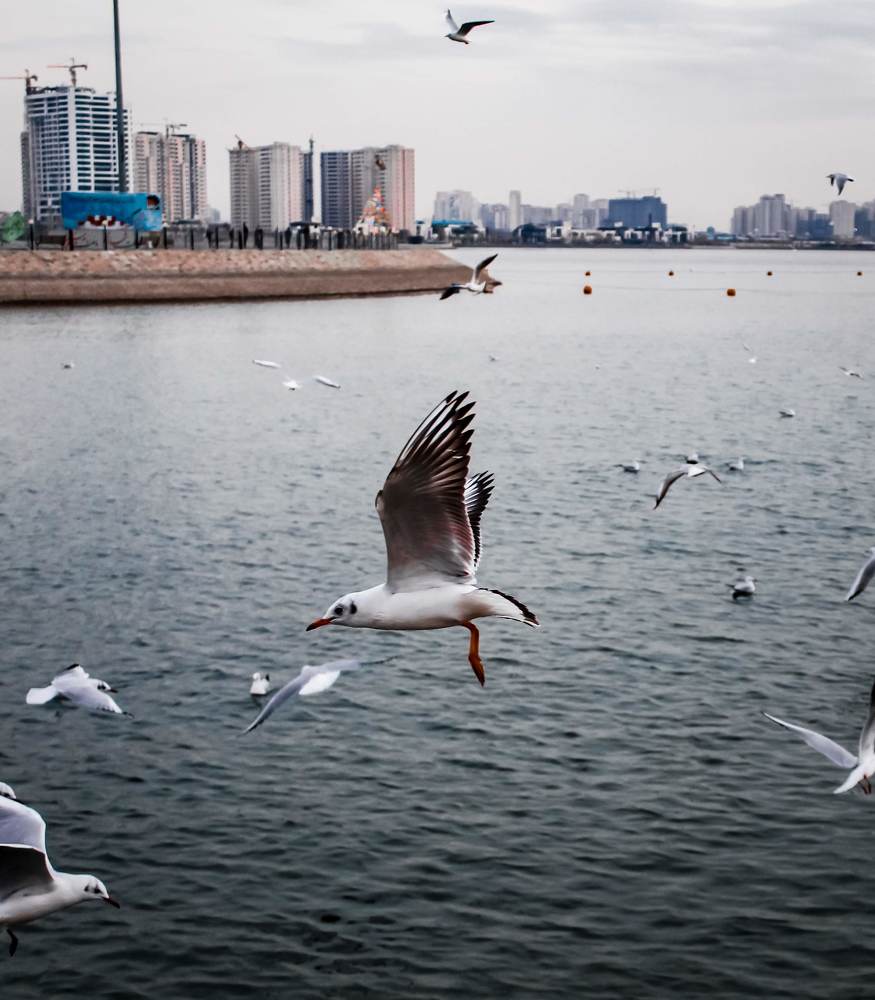 Photograph by talanavard farzad