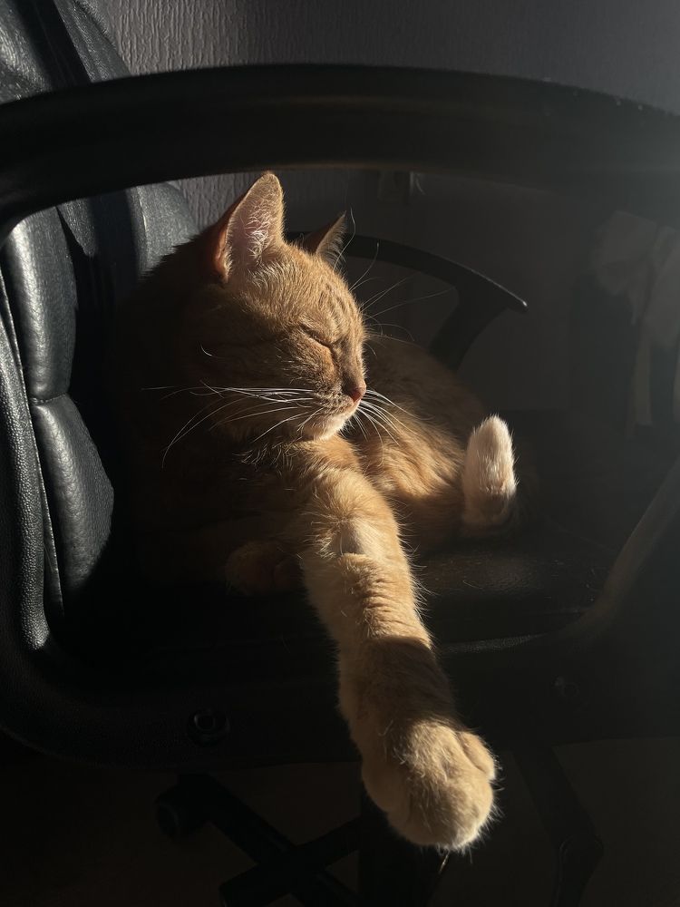 Фотография автора Oxana Yurasova