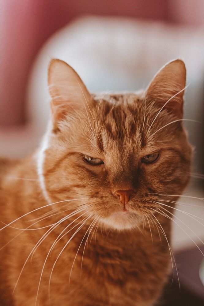 Фотография автора Oxana Yurasova