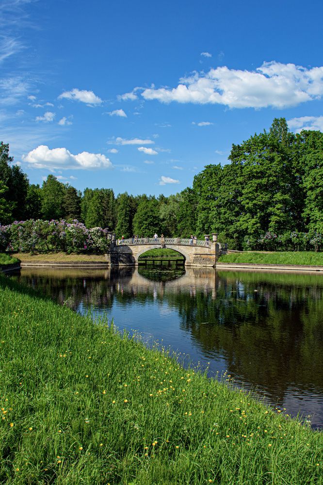Парк в Павловске