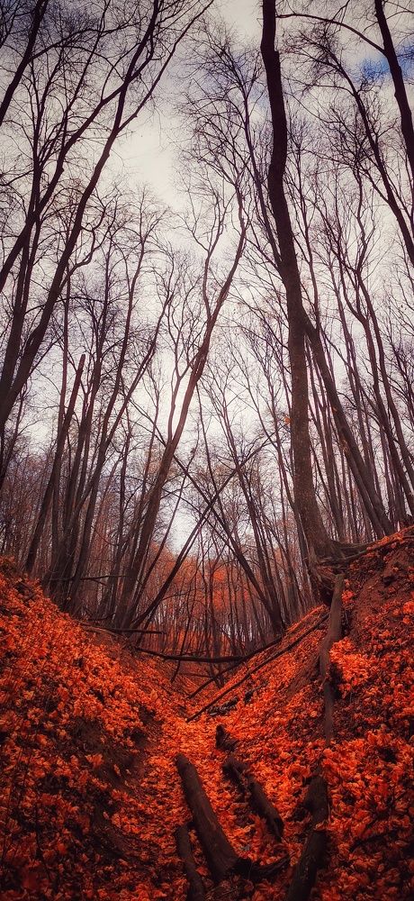 Photograph by Рымаров Александр