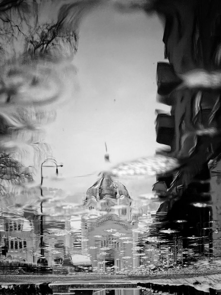 Photograph by Eldin Ceycky