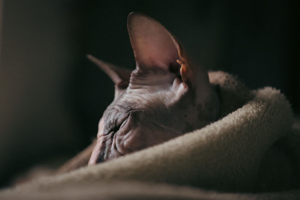 Photograph by Дарья Григорьева