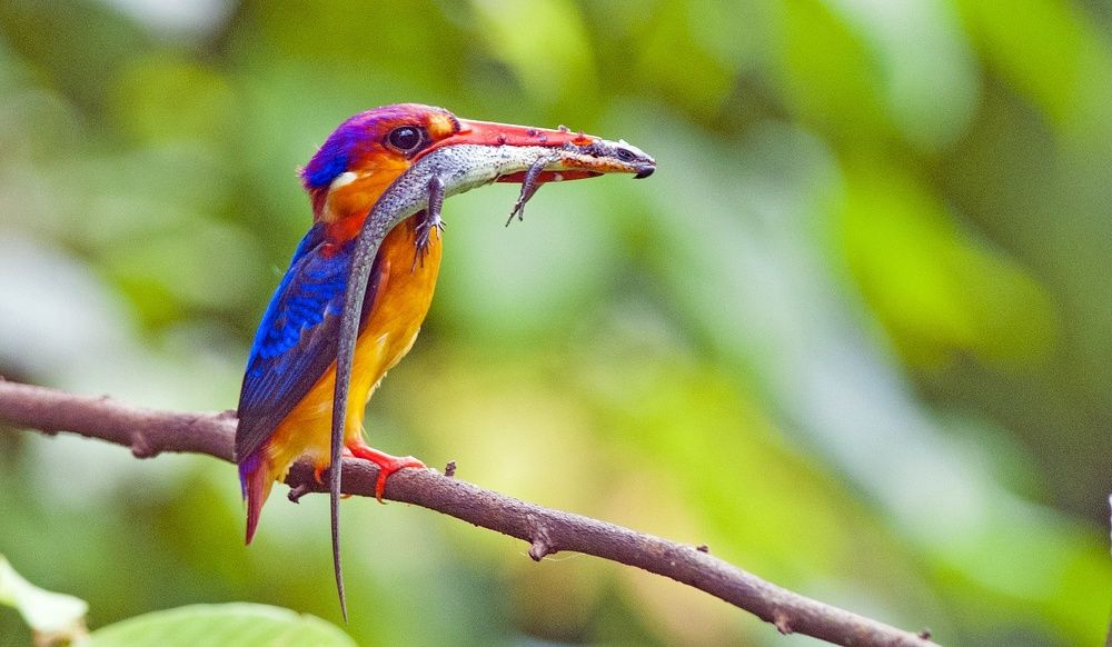 Photograph by Preeti Patel