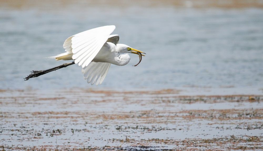 Photograph by Preeti Patel