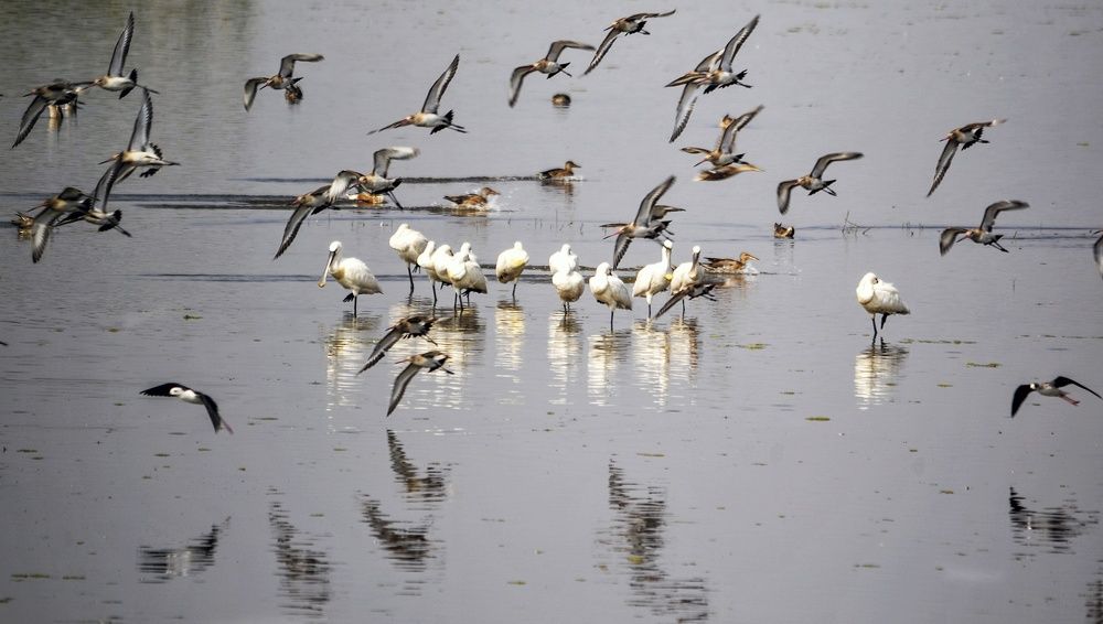 Photograph by Preeti Patel