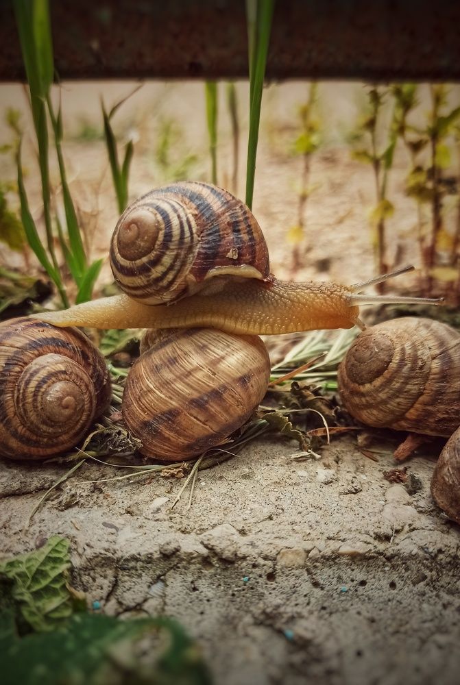 Photograph by Анна Валерьевна