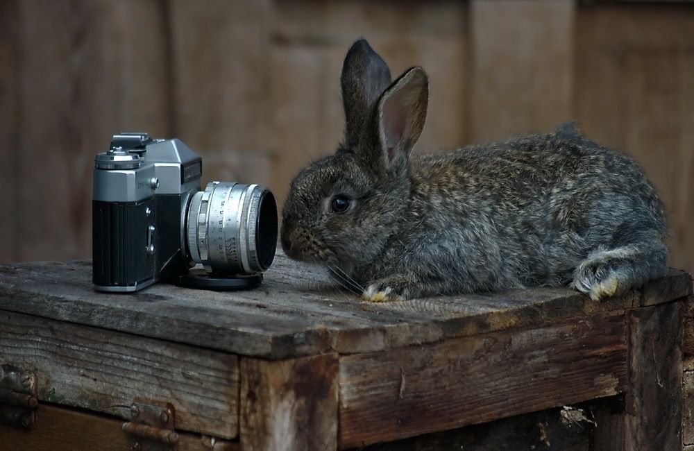 Photograph by Анатолий Святой