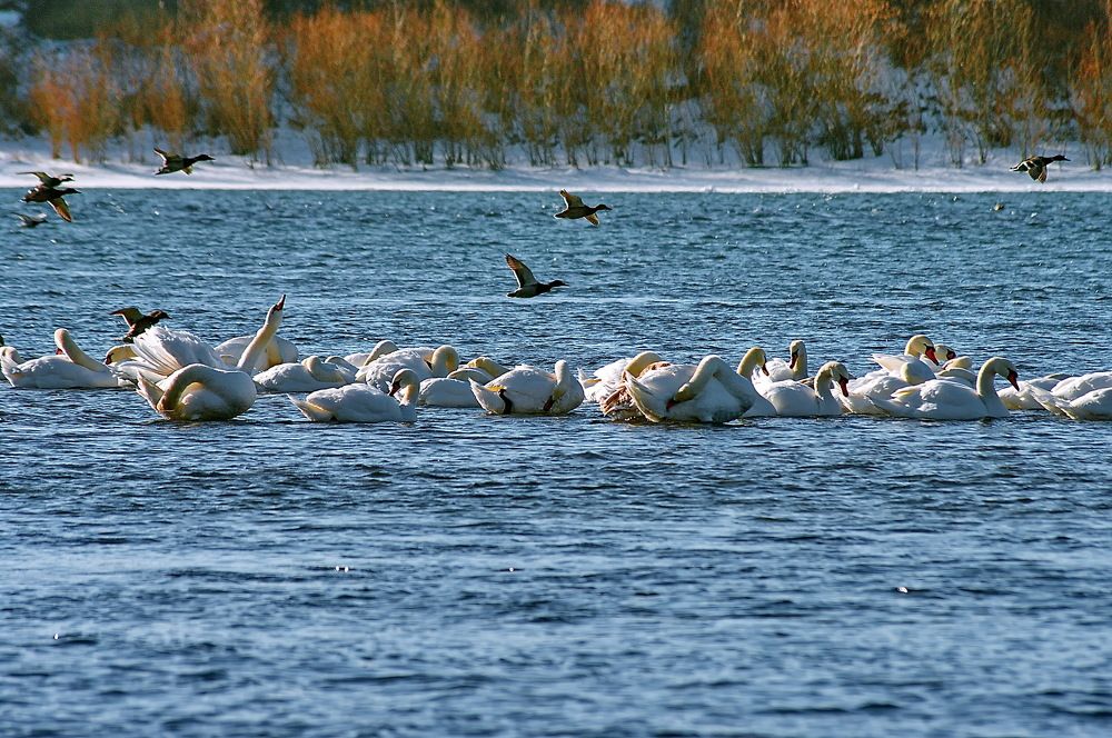 Photograph by Анатолий Святой