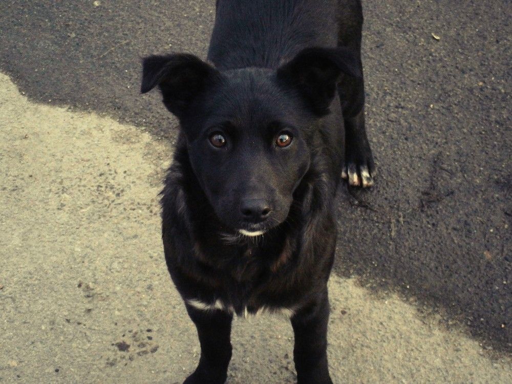 Photograph by Сергей Зиньковский